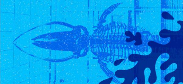 A photo looking up and the blue whale that is hanging from the ceiling in the Core Science Facility at MUN with a blue overlay