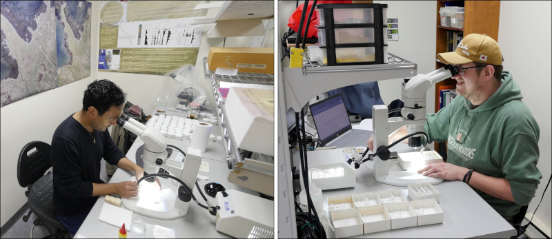 PhD student Carlos Salazar Guerra and Imperial Tobacco Scholar Bryan Branton working on samples from L’Anse aux Meadows