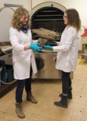 Donna Teasdale, archaeological conservator, and student using freeze dryer