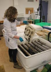 Donna Teasdale, archaeological conservator, using treatment tanks for iron artifacts