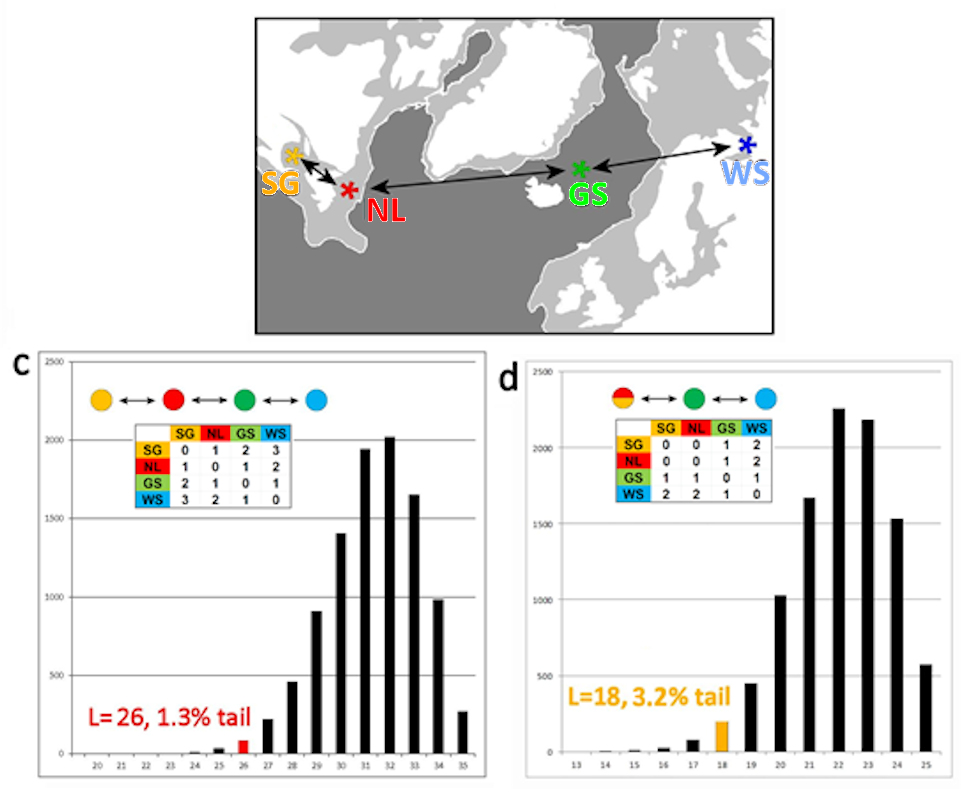 Monte Carlo dispersal of Harp Seals