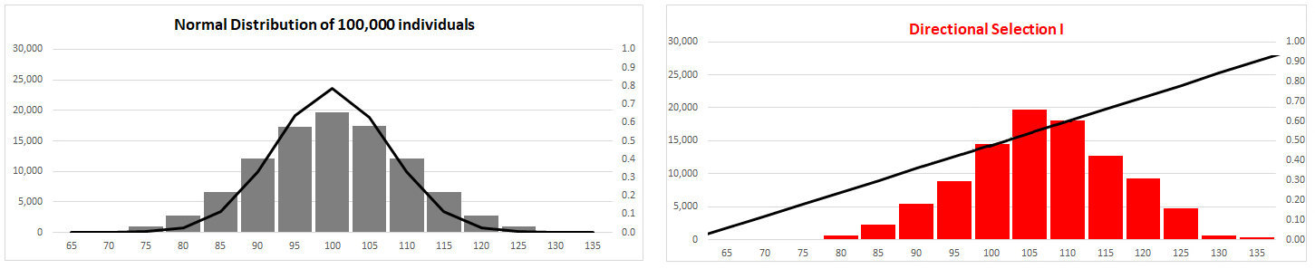 Directional Selection