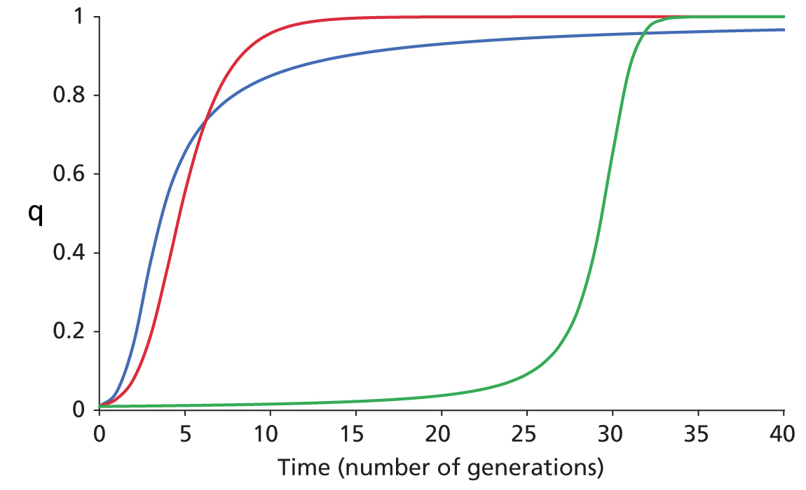 Rare allele
        under positive selection
