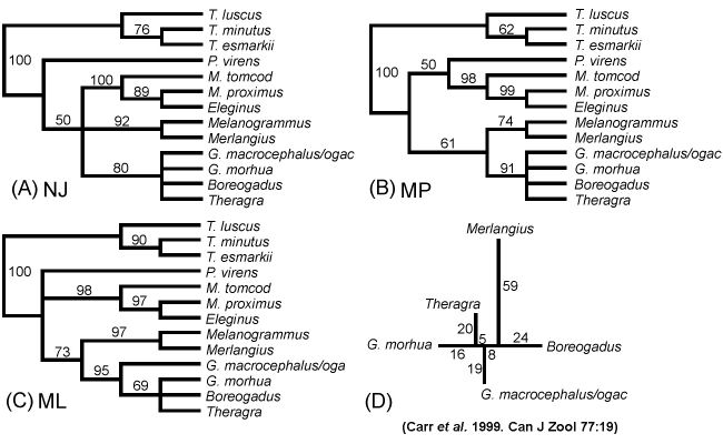 Phylogeny Reconstruction