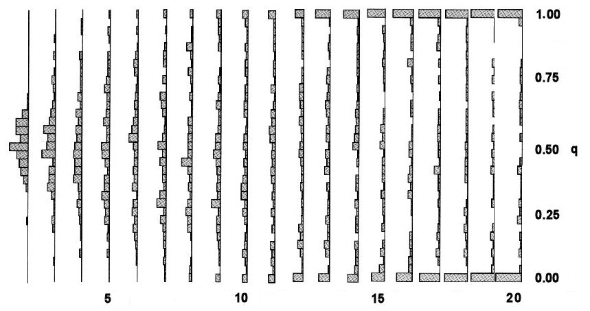 Genetic
        Drift