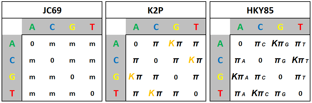 JC69 K2P HKY85