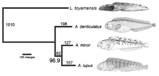 Johnstone et
        al. 2007 Fig 3