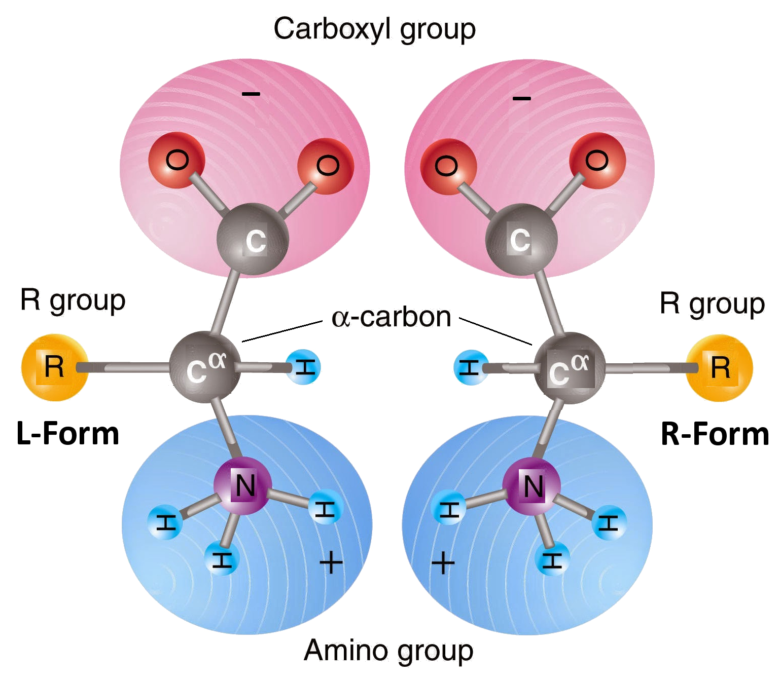 Stereoisomers