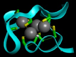 Metallothionen complex