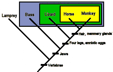 Natural Groups