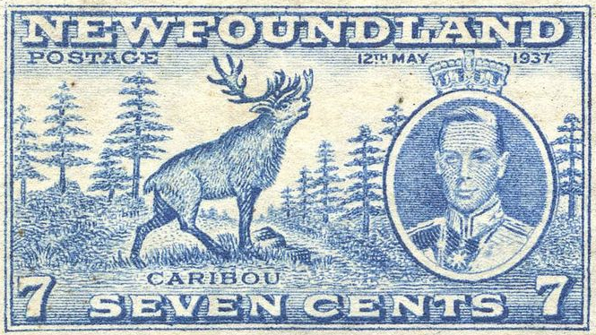 Newfoundland 7c Caribou stamp