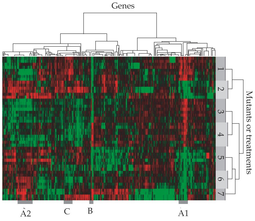 Gene expression array