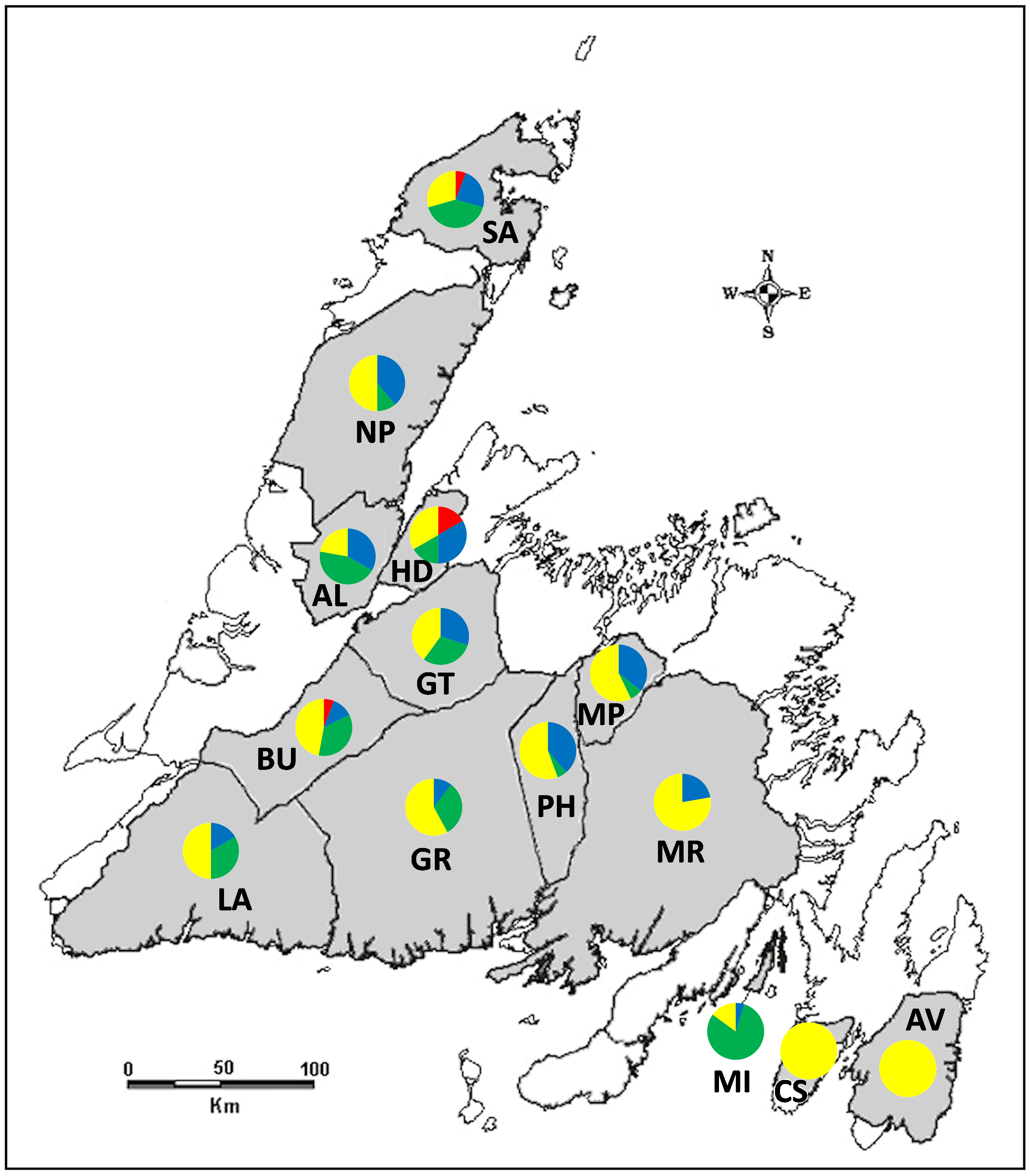 Haplotypes in Rangifer tarandus terranovae