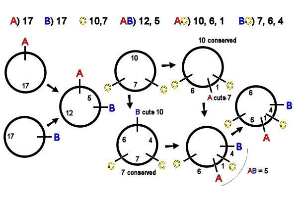 Ver Internet Lote Estallar Plasmid Restriction Map Pulgar Pelota Saltar