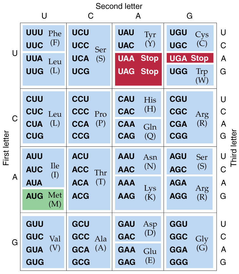 Universal Genetic
Code