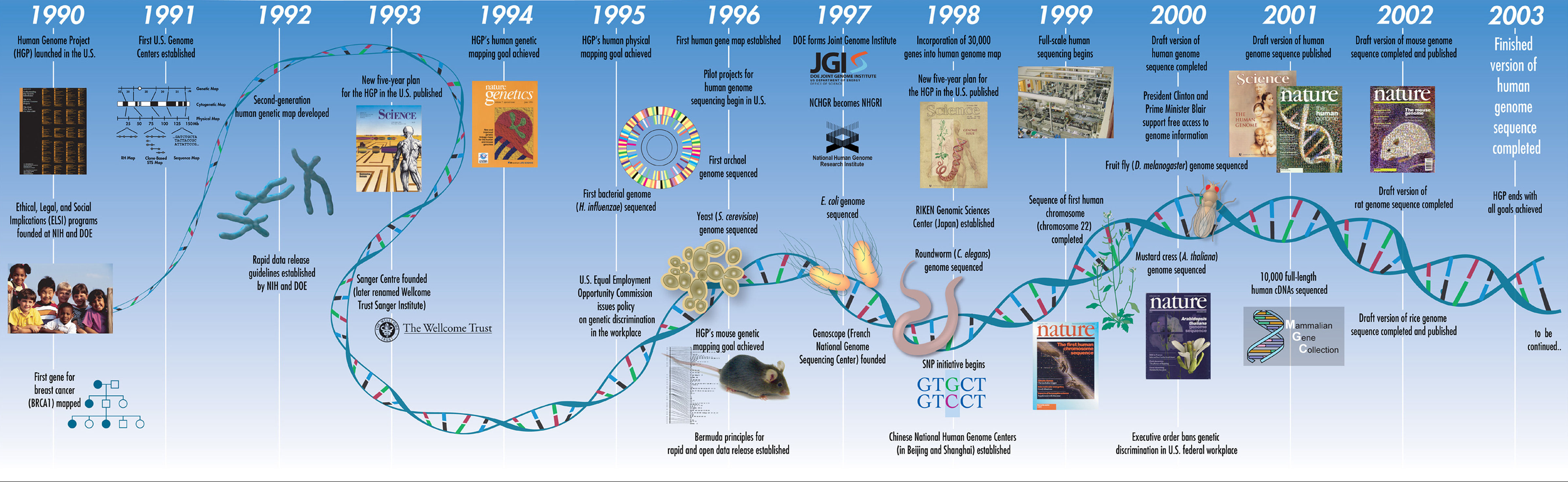 Proyecto Genoma Humano Acontecimientos Timeline Timetoast Timelines Kulturaupice 