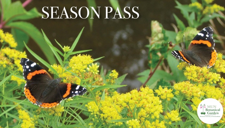 season pass banner featuring red admiral butterflies