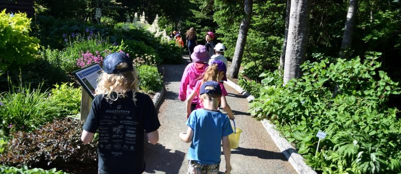 Camp children walking along a trail