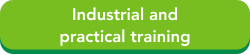 Industrial and practical training