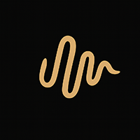 loom_wave_logo