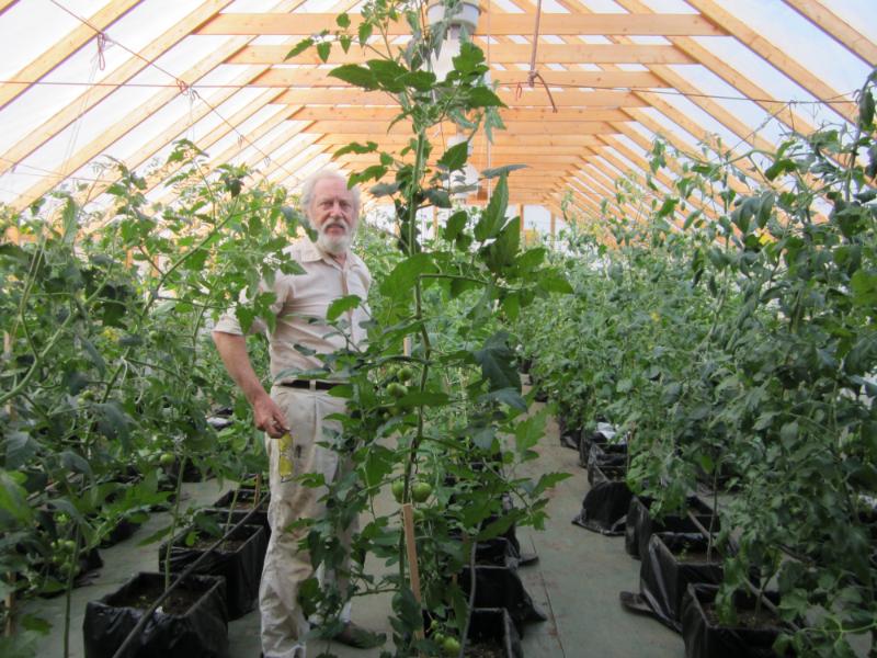 Frank Pye in greenhouse