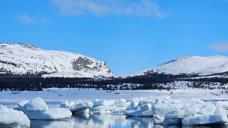 A bright and sunny day with mountains reflecting in the still water beneath them and chunks of ice floating