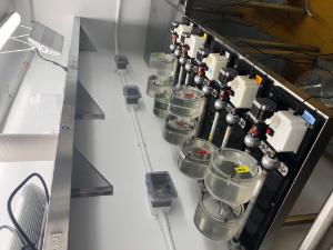 Baseline studies on microplastic