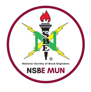 NBSE logo