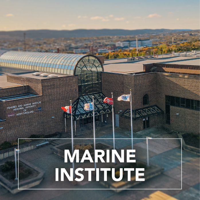 Marine Institute
